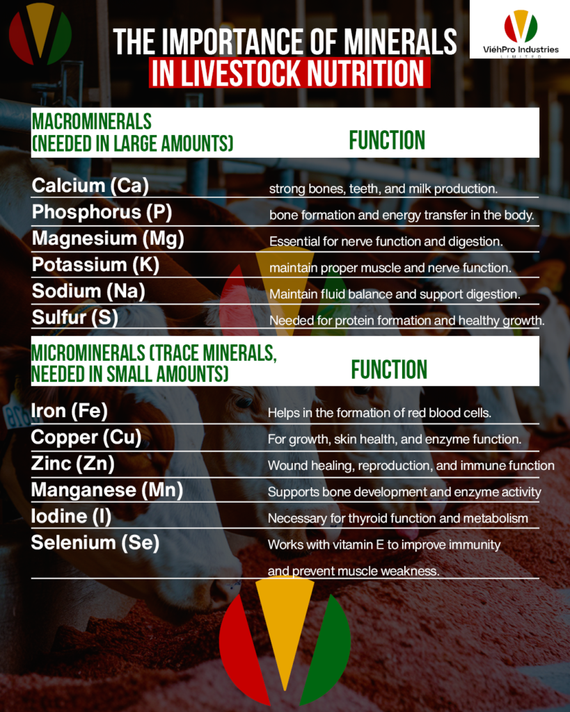 The Importance of Minerals in Livestock Nutrition