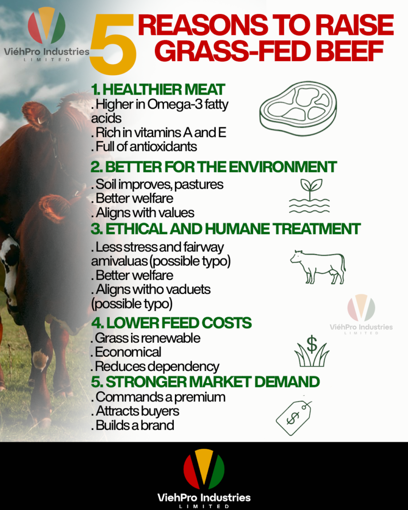 5 Reasons to Raise Grass-Fed Beef