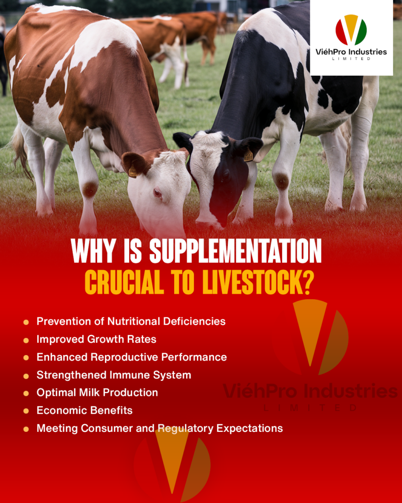 The Advantages of Supplementation in Livestock