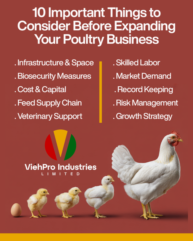 10 Important Things to Consider Before Expanding Your Poultry Business