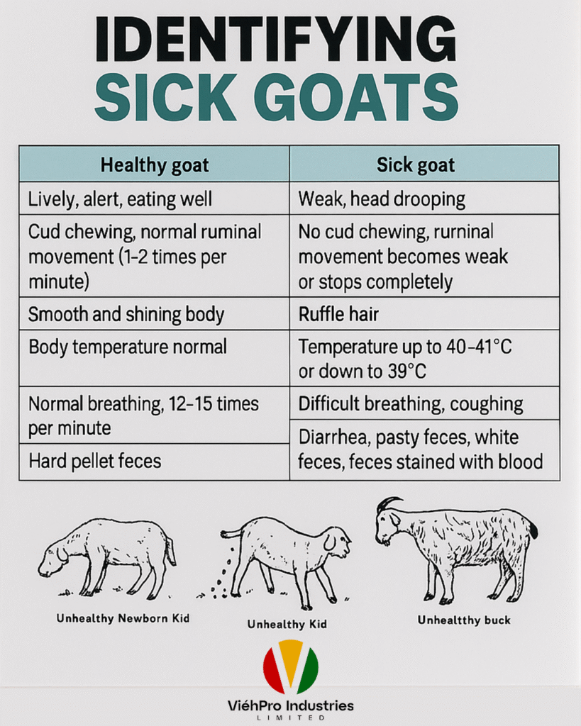How to Identify Sick Goats.